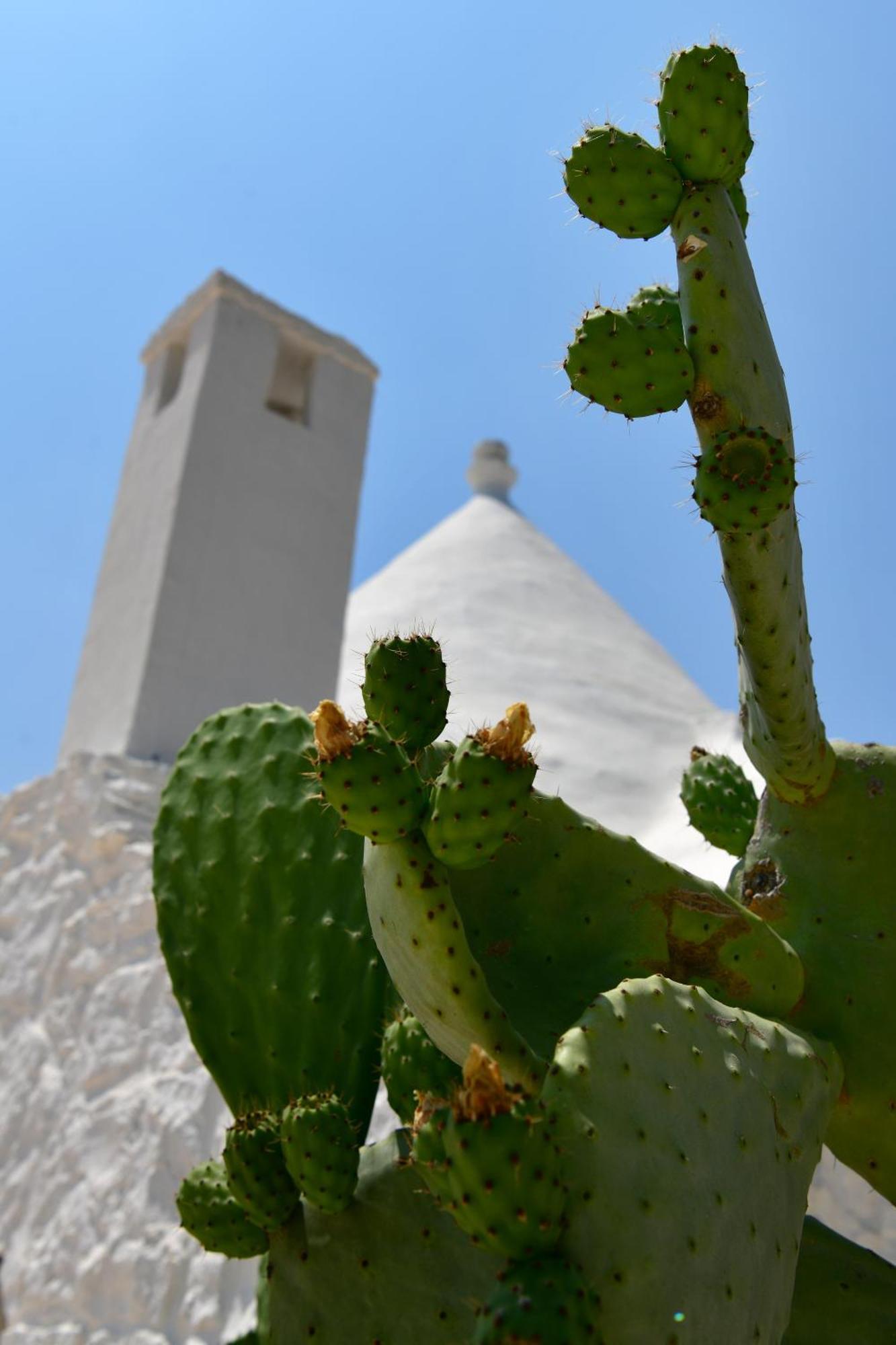 Il Trullo Bianco - Country House & Spa Castellana Grotte Eksteriør billede